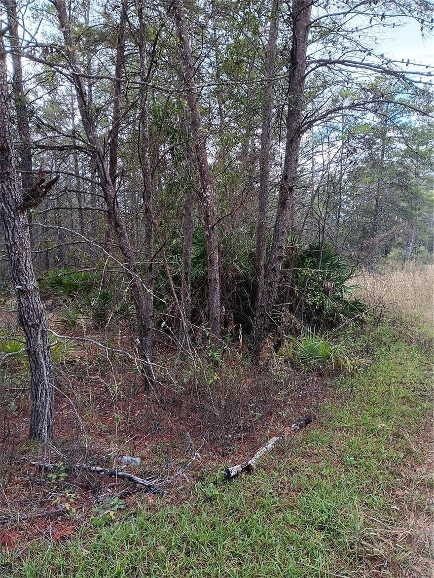 Almost 5 acres of Vacant land. Very nice land to build your dreams, Close to shopping but private enough to get away from the Hussle and bustle. Don't wait this won't be on the market long. 5232 W. Osmond is also for sale for an additional 3 acres.