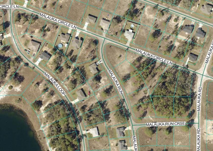 MALAUKA RUN