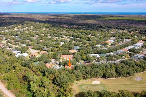 A home in ORMOND BEACH