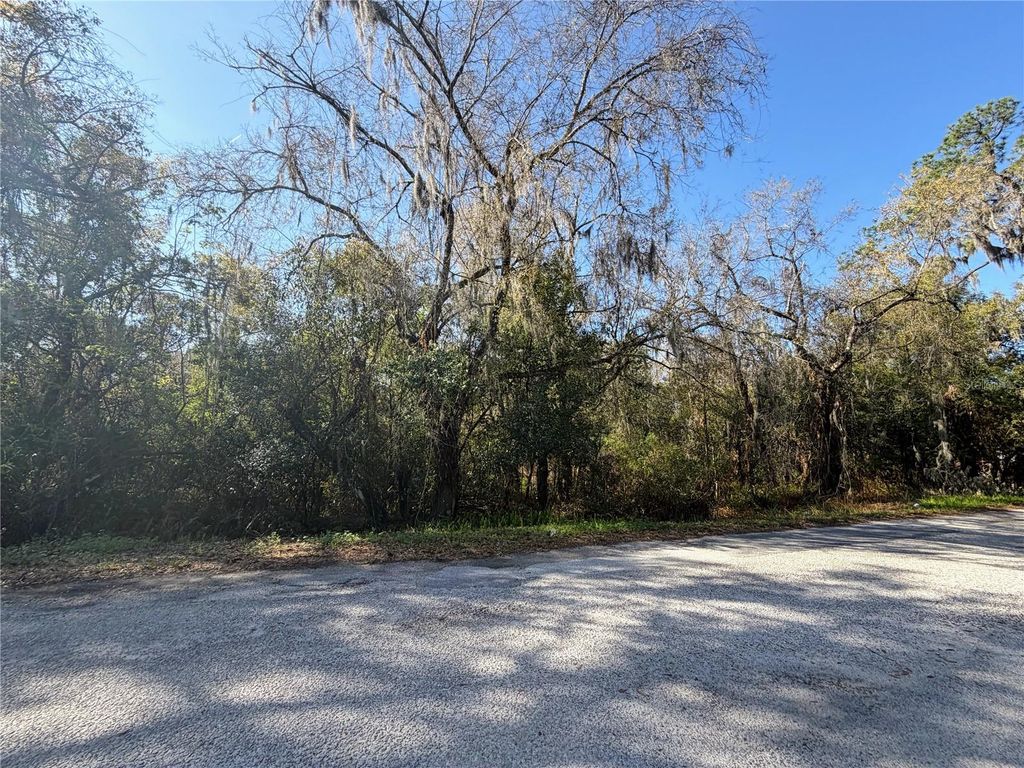 Photo of 0 Faye Street, Lakeland, FL 33803 (MLS # L4959959)