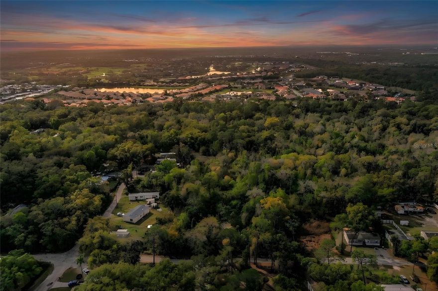 Escape to your own private sanctuary with this secluded woodland gem in the heart of Lakeland. Offering a
unique "rural feel" without sacrificing city convenience, this .45 acre undeveloped vacant lot is perfectly
situated just minutes from premier shopping, essential services, and local parks. Whether you are looking to
develop or secure an investment in a rapidly growing area, this centrally located parcel is a great opportunity.