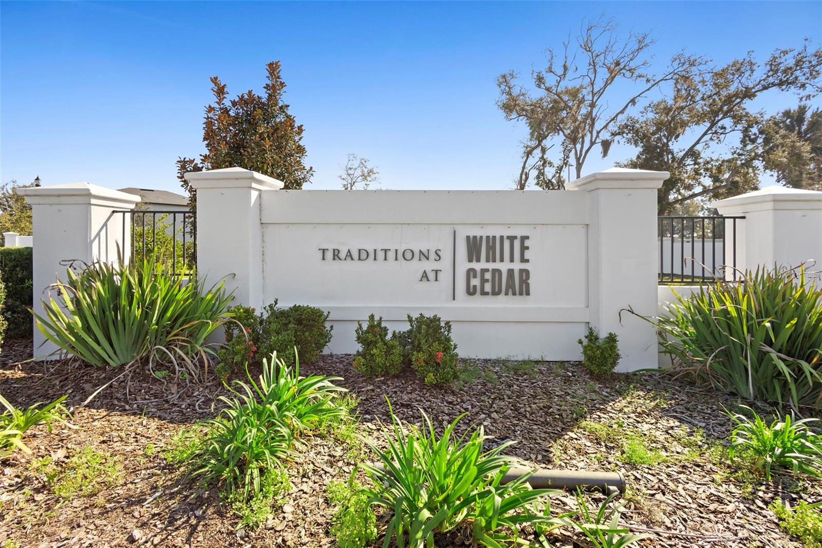 TRADITIONS AT WHITE CEDAR - Residential