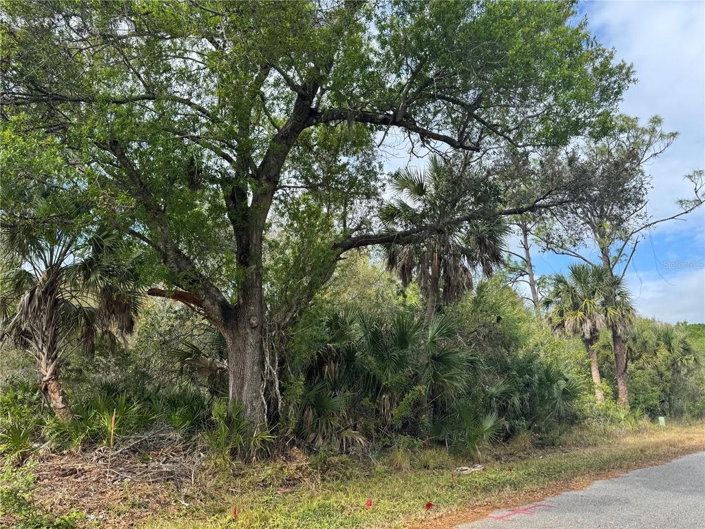 Photo of 2433 Largo Street, Punta Gorda, FL 33980 (MLS # C7520565)