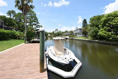 A home in PALM COAST