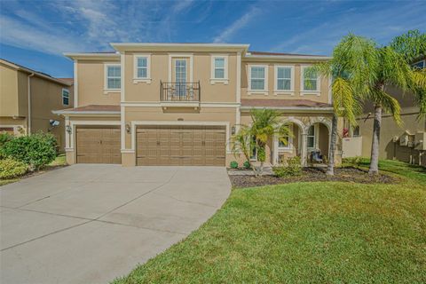 32139 FIREMOSS LANE WESLEY CHAPEL FL 33543