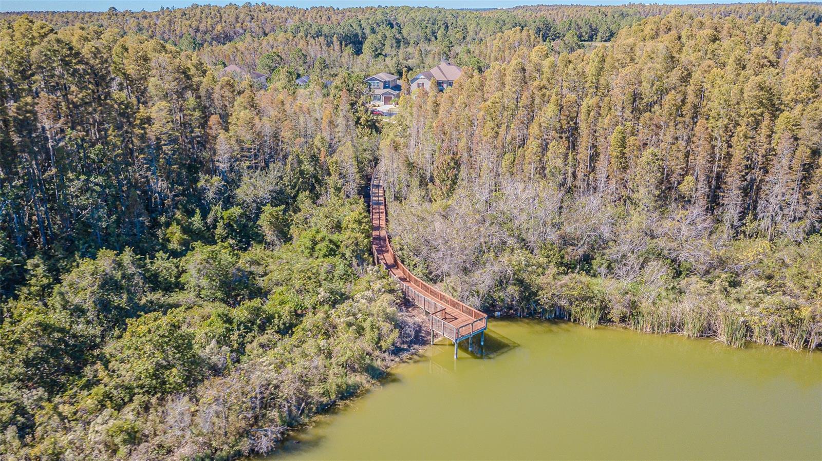 MEADOW POINTE IV PRCL AA - Residential