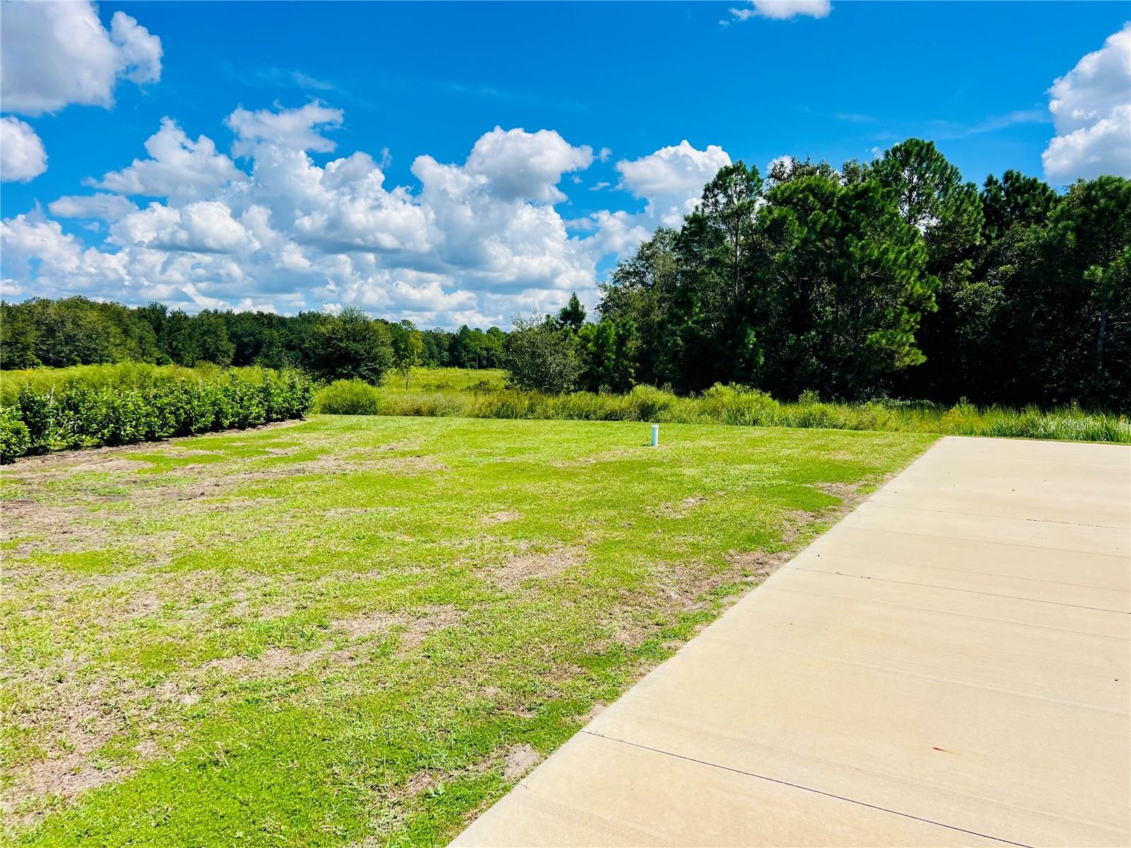 FLORIDA GRANDE MOTOR COACH RESIDENCE - Land