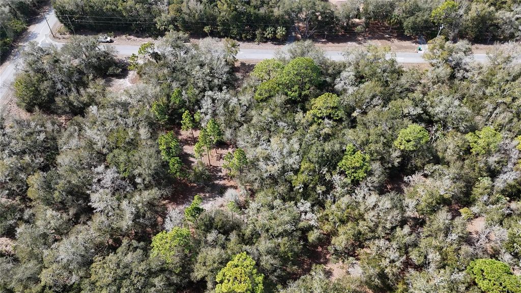 Photo of 12784 W Cypress Vine Lane, Crystal River, FL 34428 (MLS # OM719348)