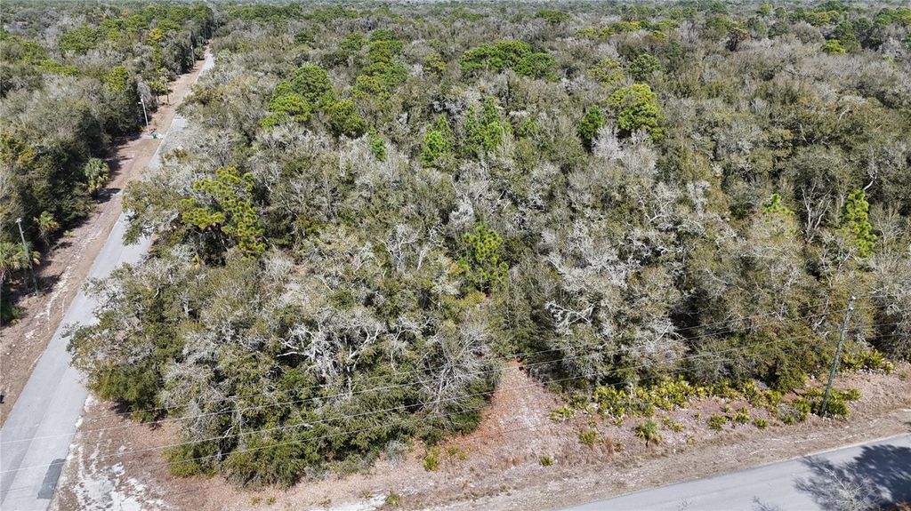 Photo of 12784 W Cypress Vine Lane, Crystal River, FL 34428 (MLS # OM719348)