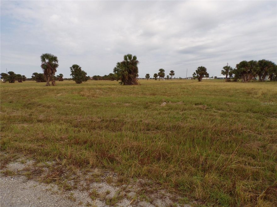 This lot is on a quiet street that would be a great place to build your dream home and retire or raise
your family. Less than 19 miles to I75 makes this location an easy commute to almost anywhere, and only
14 miles to Chadwick park at Englewood Beach with amazing sunsets, 10 miles to South Englewood with lots
of shopping and dining options. Tampa Bay Rays spring training and the fairgrounds are just minutes
away, also multiple golf courses and some of the best boating and fishing in all of Florida. Red Soxs,
Orioles, Twins and Braves spring training all within an hour’s drive. Buyer and buyers rep responsible
for determining environment conditions and endangered species restrictions. This lot is priced to sell
so please call for availability! This lot is at a great price point for the investor call today.