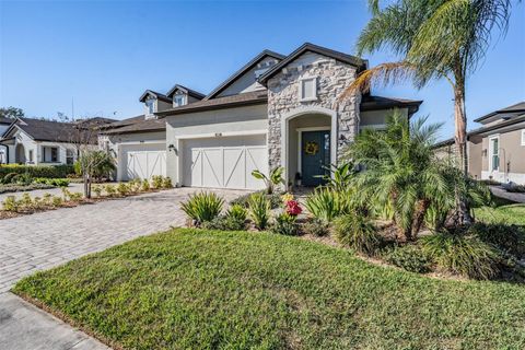 4607 BARLETTA COURT WESLEY CHAPEL FL 33543
