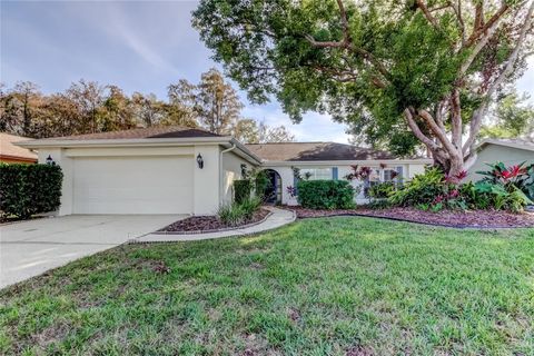 Photo of 3522 Player Drive, New Port Richey, FL 34655 (MLS # W7881092)