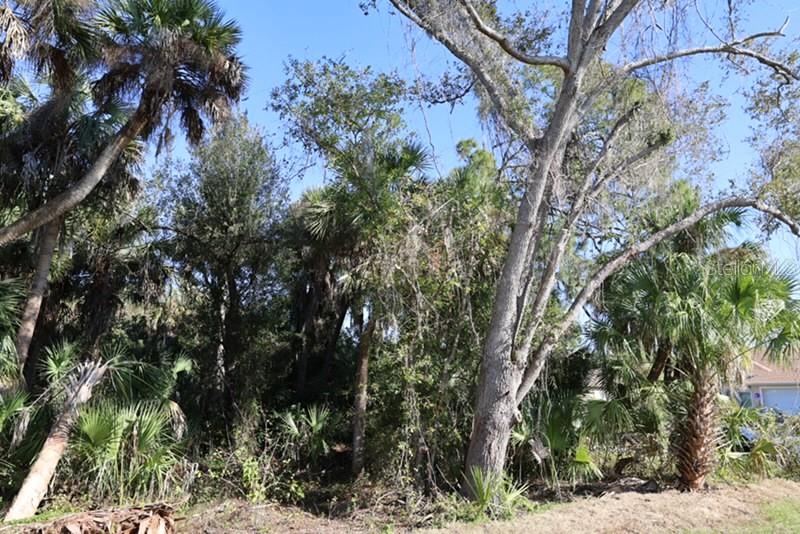 PORT CHARLOTTE 16 REP 01 - Land