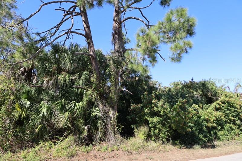 PORT CHARLOTTE 16 REP 01 - Land