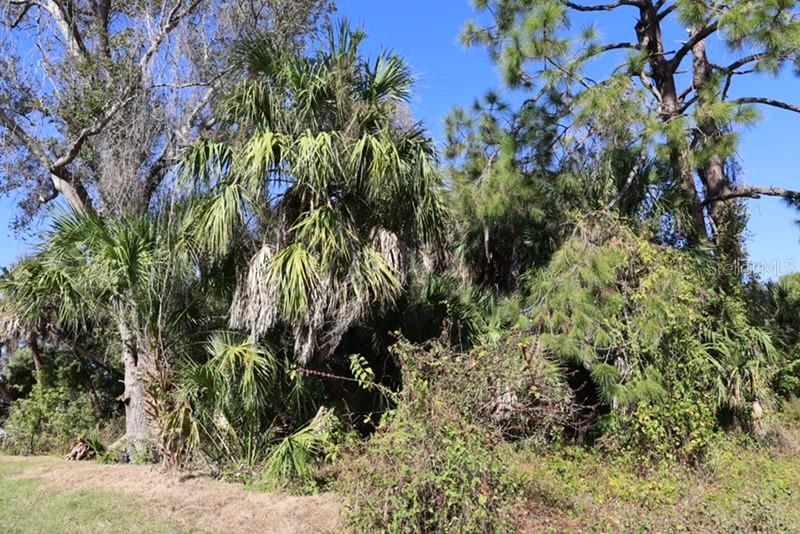 PORT CHARLOTTE 16 REP 01 - Land