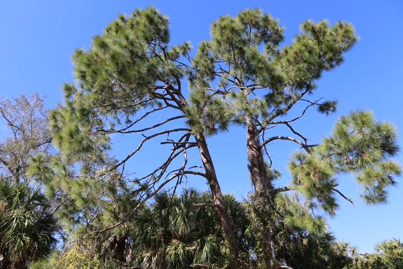 PORT CHARLOTTE 16 REP 01 - Land