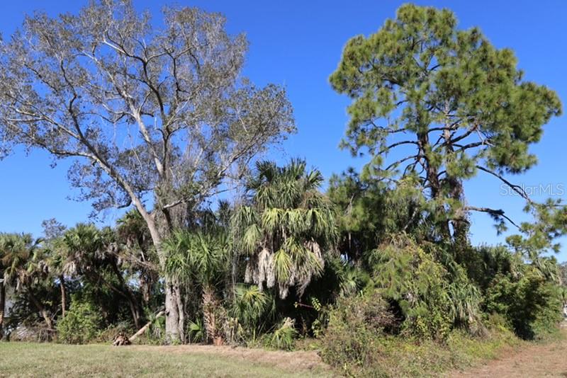 PORT CHARLOTTE 16 REP 01 - Land