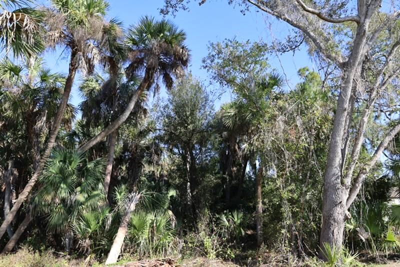 PORT CHARLOTTE 16 REP 01 - Land