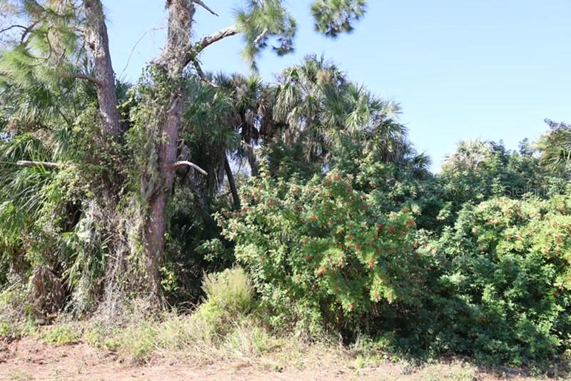 PORT CHARLOTTE 16 REP 01 - Land