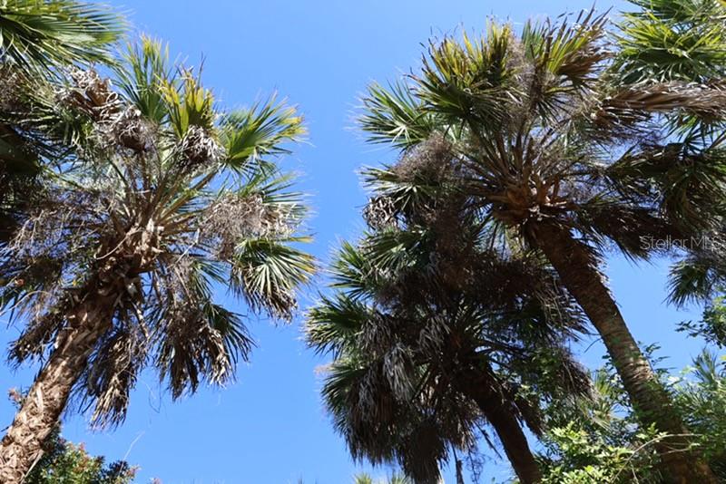 PORT CHARLOTTE 16 REP 01 - Land