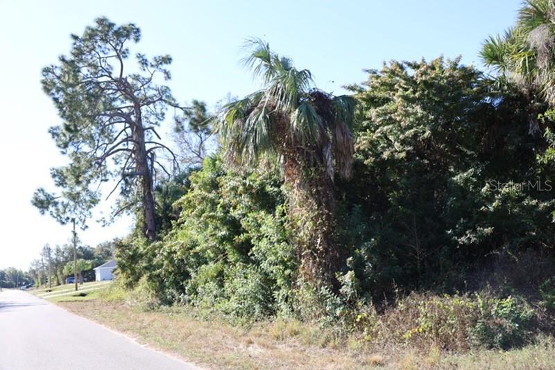 PORT CHARLOTTE 16 REP 01 - Land