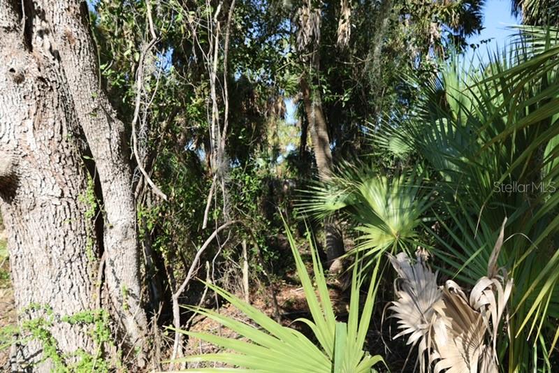 PORT CHARLOTTE 16 REP 01 - Land