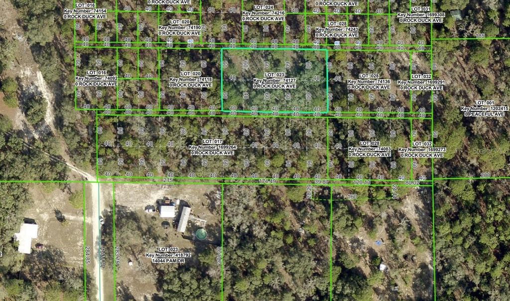 Photo of 0 Rock Duck Avenue, Weeki Wachee, FL 34614 (MLS # W7880980)