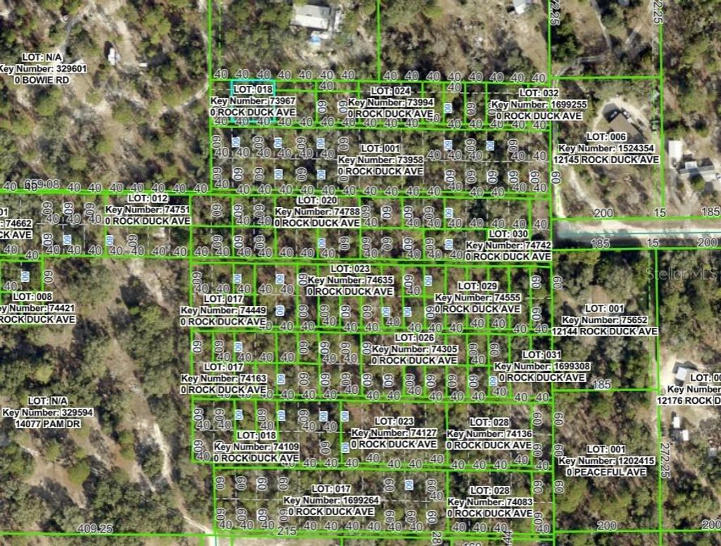 Photo of 0 Rock Duck Avenue, Weeki Wachee, FL 34614 (MLS # W7880980)