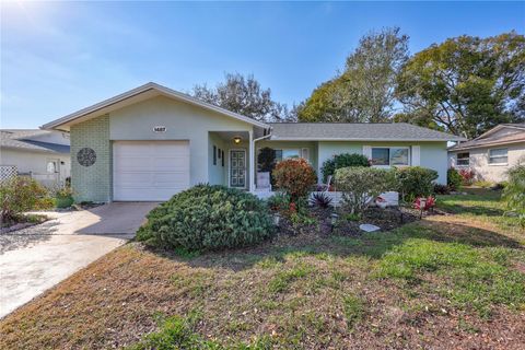 1487 DUNDEE DRIVE PALM HARBOR FL 34684