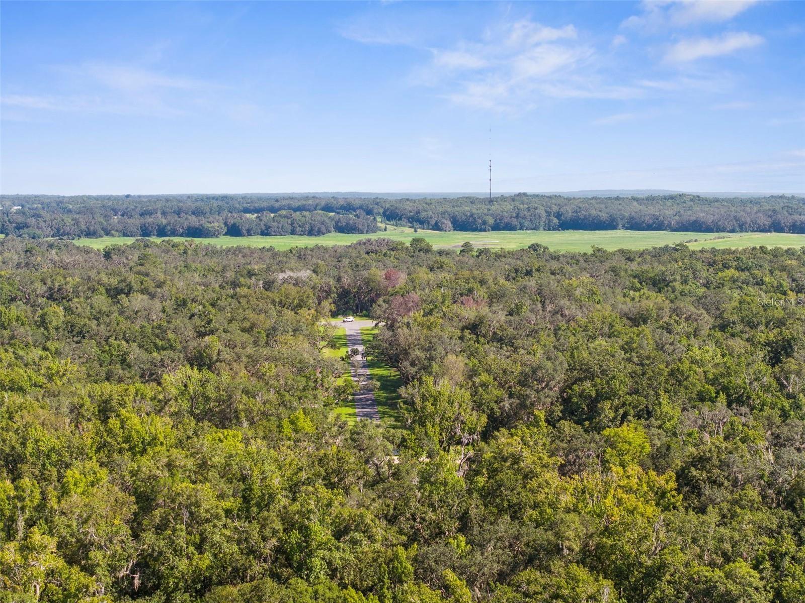 CHAMPION ESTATES - Land