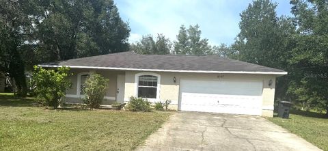 Photo of 8147 N Ibsen Drive, Citrus Springs, FL 34433 (MLS # TB8405502)