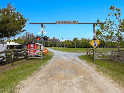 Photo of 11350 State Road 121, Inglis, FL 34449 (MLS # O6396304)
