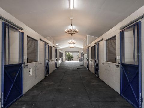 Tiny photo for 9710 NW 160th Avenue, Morriston, FL 32668 (MLS # OM714938)