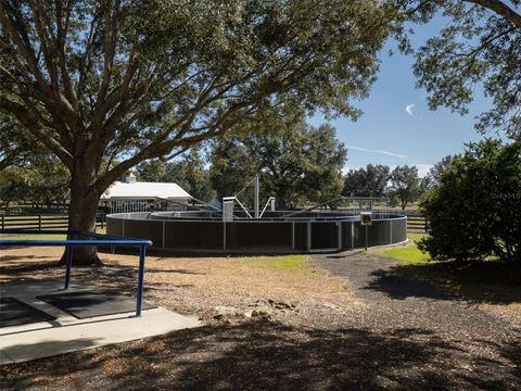 Tiny photo for 9710 NW 160th Avenue, Morriston, FL 32668 (MLS # OM714938)