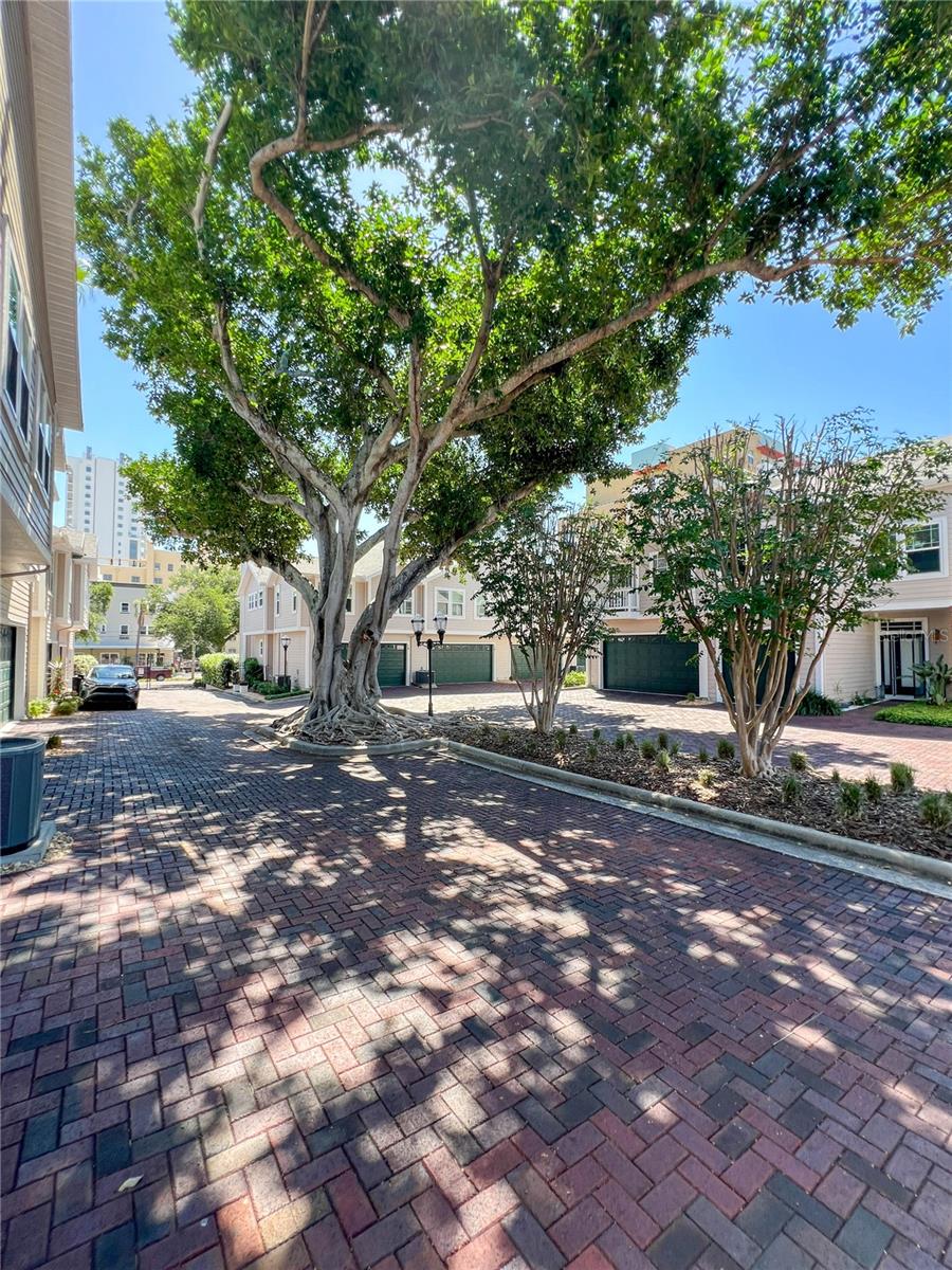 HUNTINGTON TWNHMS THE - Residential