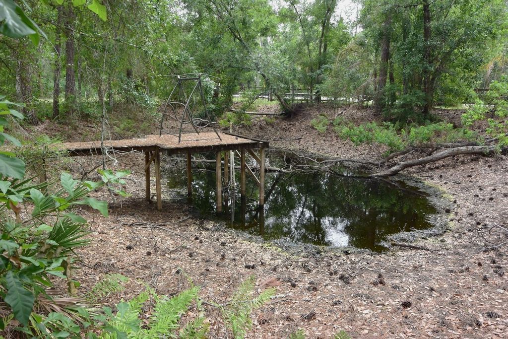 Photo of 6832 Quail Hollow Boulevard, Wesley Chapel, FL 33544 (MLS # W7885035)