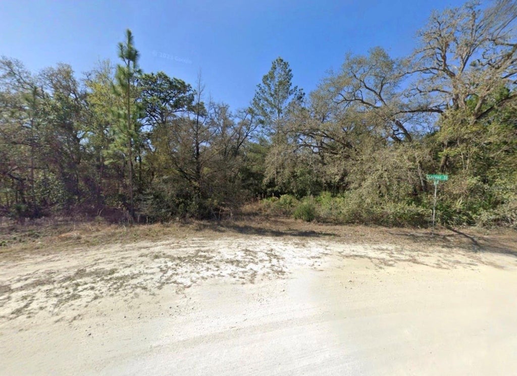 Photo of 11284 Cleever Street, Weeki Wachee, FL 34614 (MLS # TB8550353)