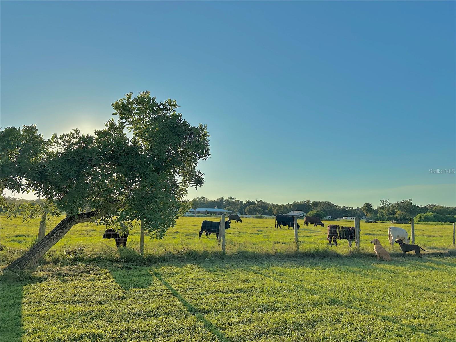 ACREAGE - Residential