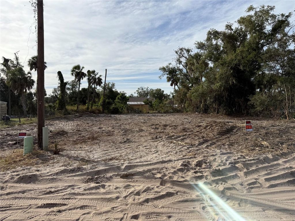 Photo of 20 Watson Avenue, Arcadia, FL 34266 (MLS # TB8473923)