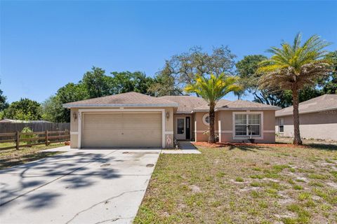 Photo of 6633 Hone Street, New Port Richey, FL 34653 (MLS # TB8494441)