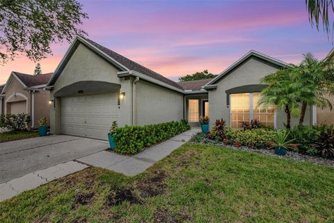 A home in LUTZ