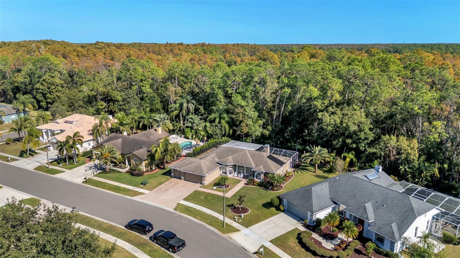 BRIDLEWOOD AT TARPON WOODS PH II - Residential