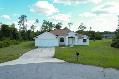 Photo of 3858 SW 161st Street, Ocala, FL 34473 (MLS # OM723674)