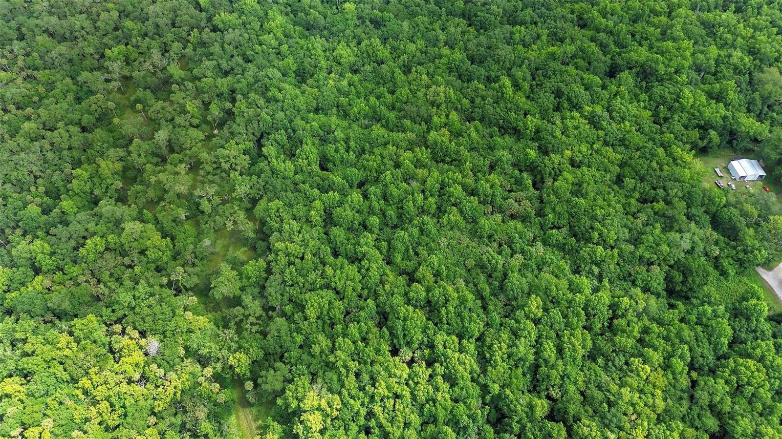 CAPE ATLANTIC ESTATES SEC A 01 UNREC 237 - Land