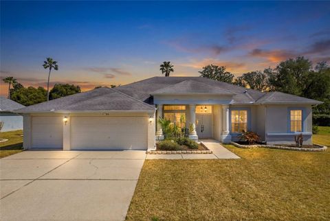 Photo of 14044 Andrew Scott Road, Spring Hill, FL 34609 (MLS # TB8481427)