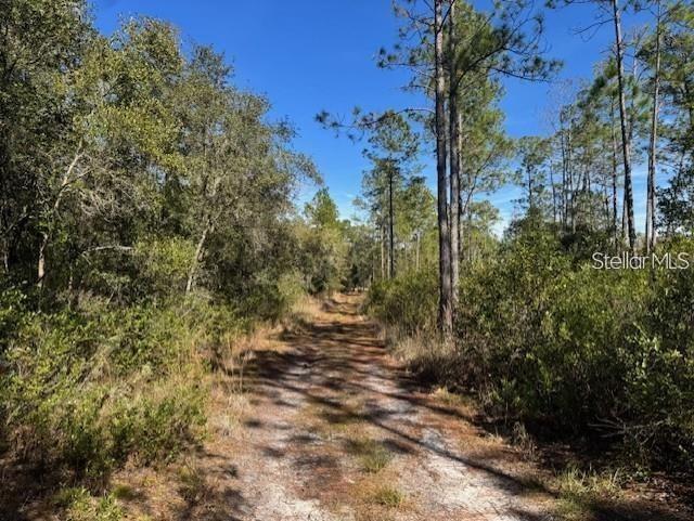 TBD NE 150TH AVE ROAD LOT 5