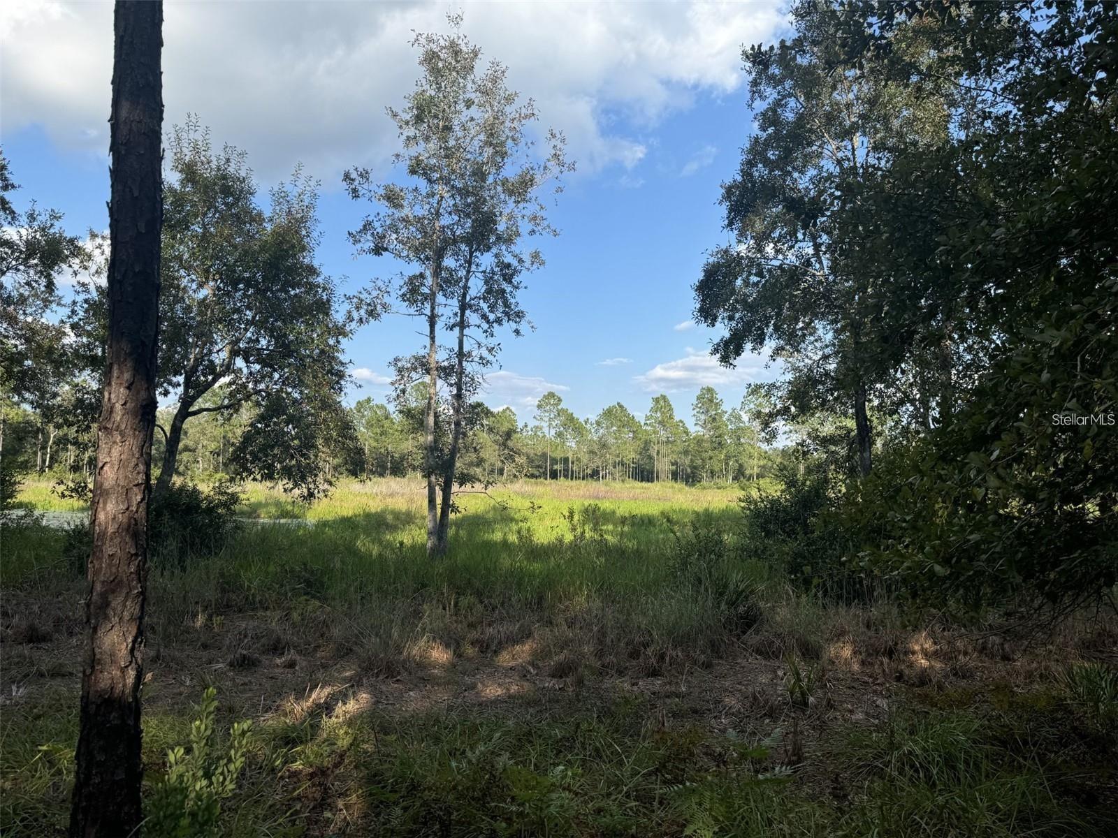 TBD NE 150TH AVE ROAD LOT 5
