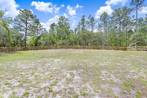 Tiny photo for 5566 W Cisco Street, Beverly Hills, FL 34465 (MLS # TB8511441)