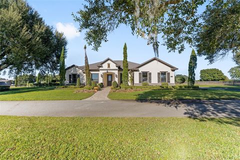 Tiny photo for 11408 N Magnolia Avenue, Ocala, FL 34475 (MLS # OM713584)