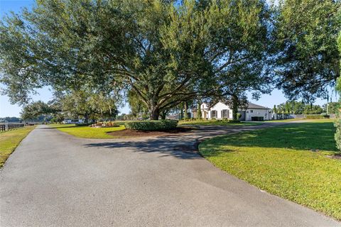 Tiny photo for 11408 N Magnolia Avenue, Ocala, FL 34475 (MLS # OM713584)